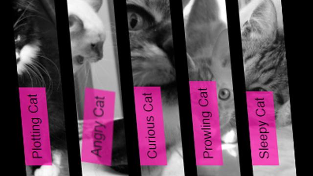 Responsive Accordion Slider